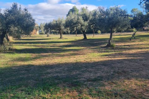 Landejendom i Asco, Tarragona, Asco - € 29.000 | Ref: 1003 Pasco - foto 20